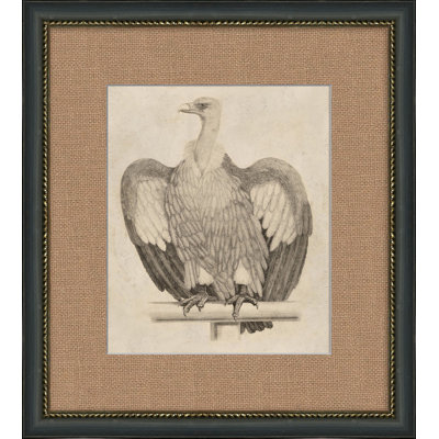Antique Eagle Painting