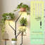 Support pour plante 62,2 po avec lumières de culture, tablette en métal à 8 niveaux