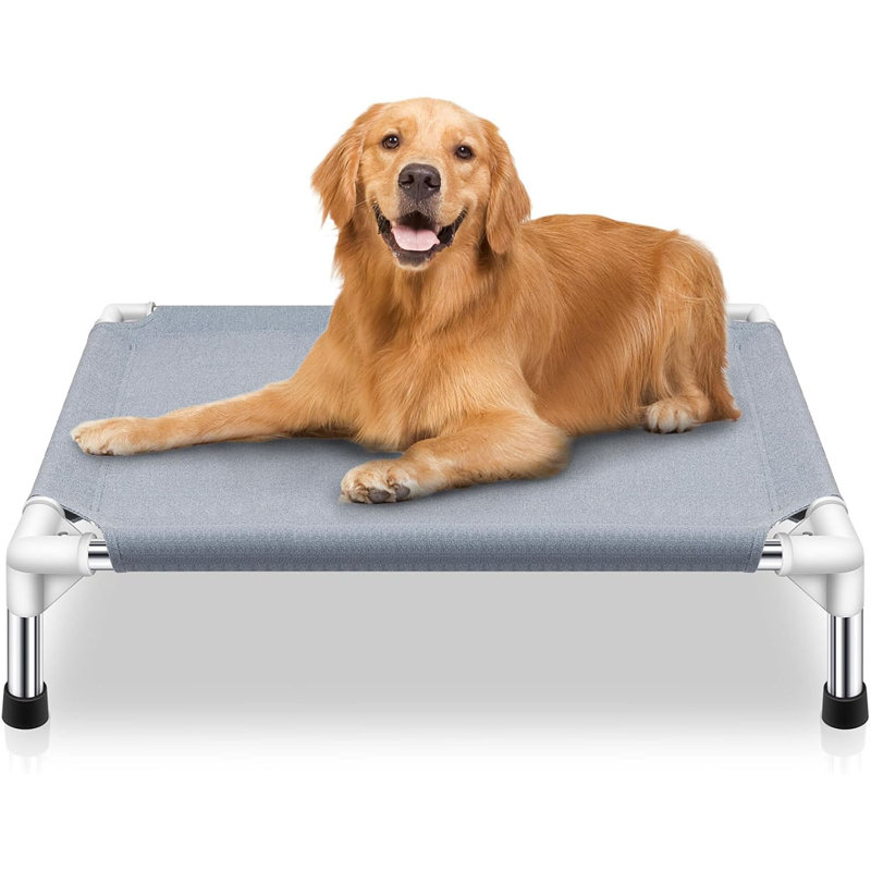 Lit pour chien surélevé à refroidissement surélevé, lit surélevé pour chien de taille moyenne