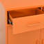 Armoire de rangement en acier H 40 po x l 31,5 po x P 13,8 po