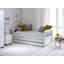 Booth Solid Wood Daybed with Trundle Bed-28079698