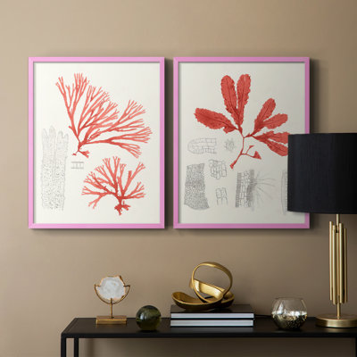 Vintage Coral Study I-Premium Framed Print -Ready to Hang - No Nails Required - No Nails Required