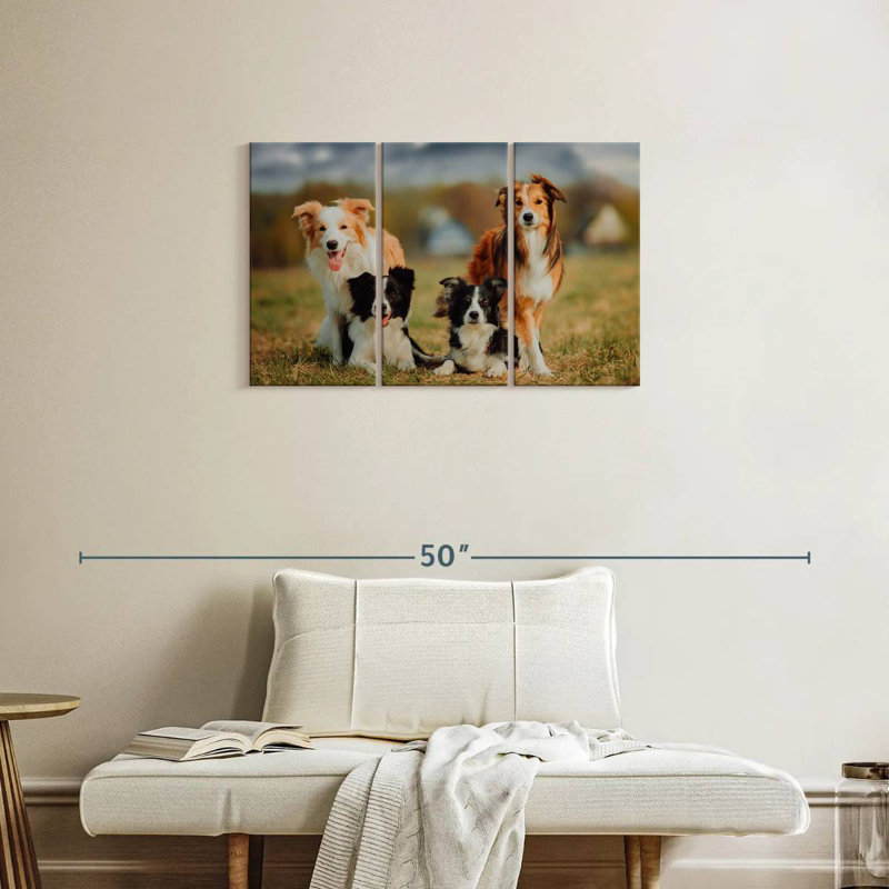 Border Collie Dogs, 20" H x 33" W