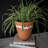 Handmade Pot Planter