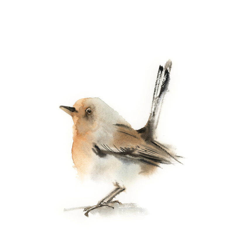 «Little Robin», reproduction encadrée, Non, H 12 po x l 12 po, Toile tendue