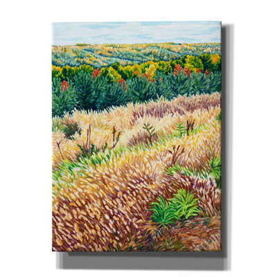 Ny Autumn Grasses Littletree' by Andrea Strongwater Canvas Wall Art