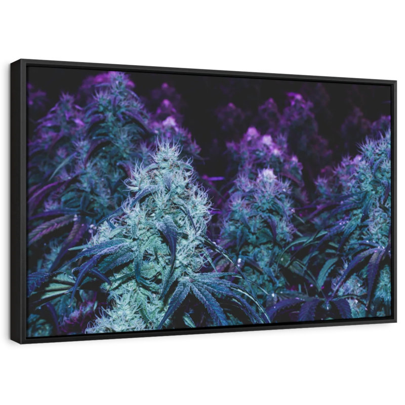 Reproduction sur toile floraison mauve, H 9 po x l 13 po