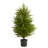 Cedar Pine Look Artificial Tree in Decorative Planter-264779629