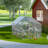 Eather Chicken Run-405637231-405637229