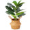 Figuier artificiel Adcock, plante dans un panier, plante verte, arbre artificiel