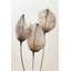Faded Petal Trio by Treechild — Floral Wall Art-266585635-266585659-266585636