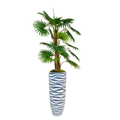 Palmier haut de 70 po avec toile de jute Panama