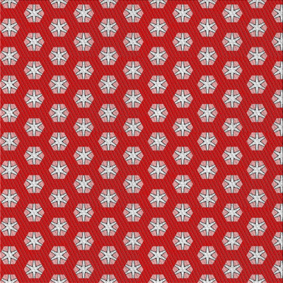 Indoor Rug