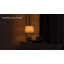 Ceramic Lamp-175234501