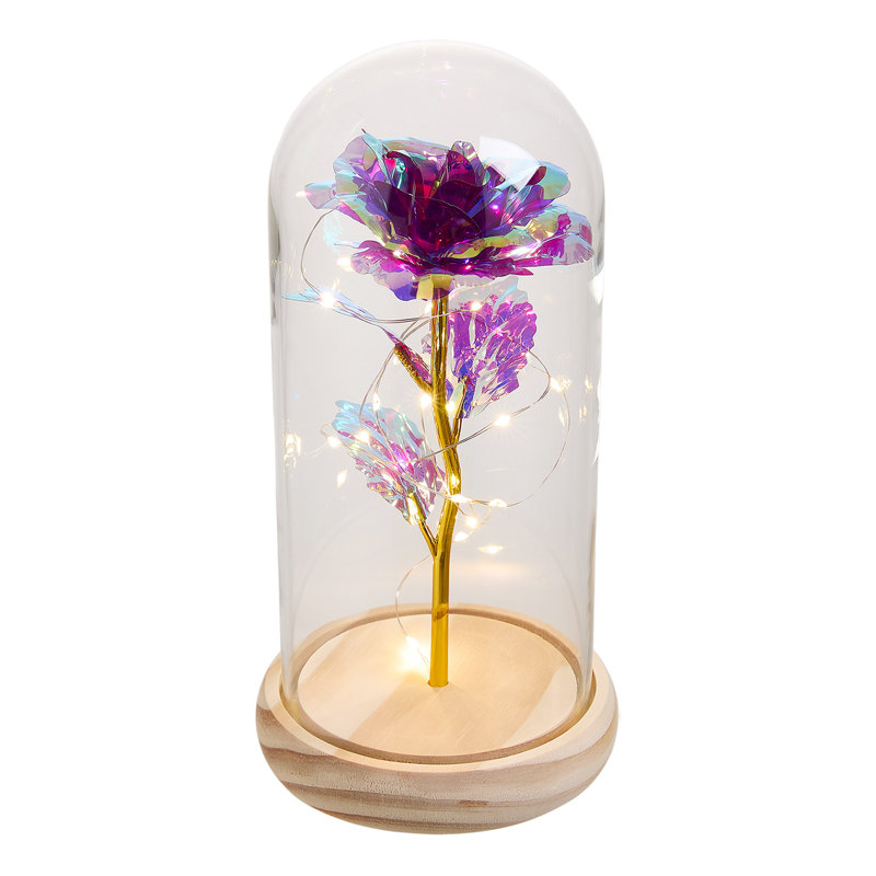 Cloche Or Water Globe, Golden/Purple