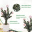 82cm Plant