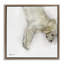 Cadre flottant Sweet Cream Sleeping Puppy, design par Mary Sparrow-1460386630-1460386628