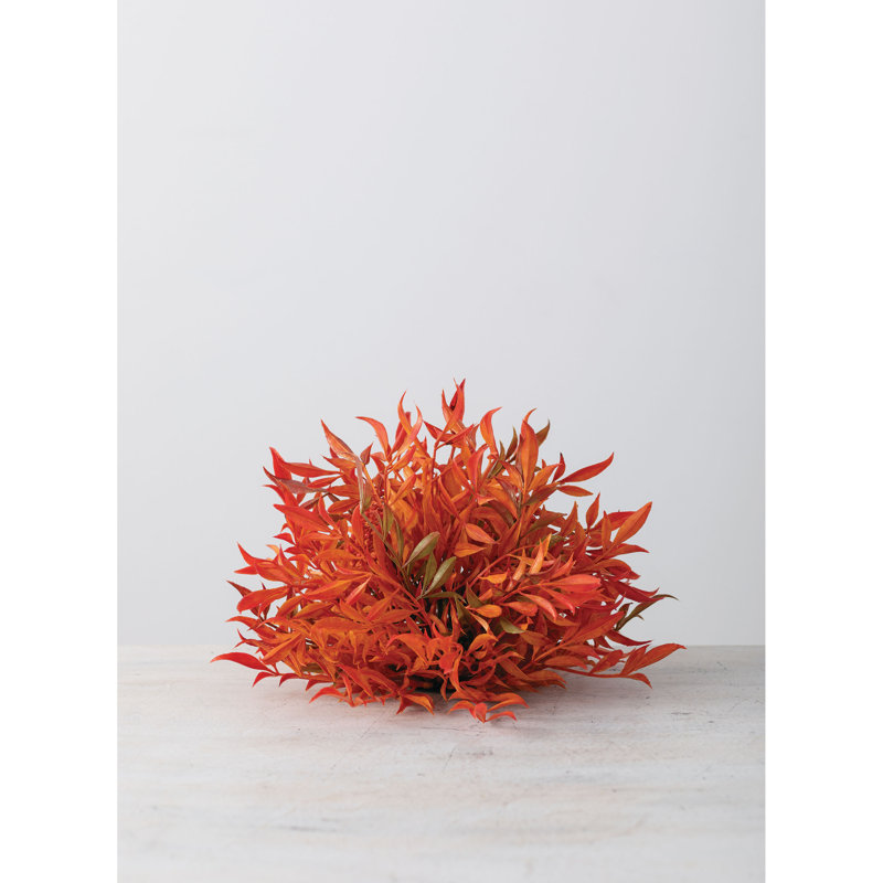 Plante à baies artificielles 1/2 avec vase smilax
