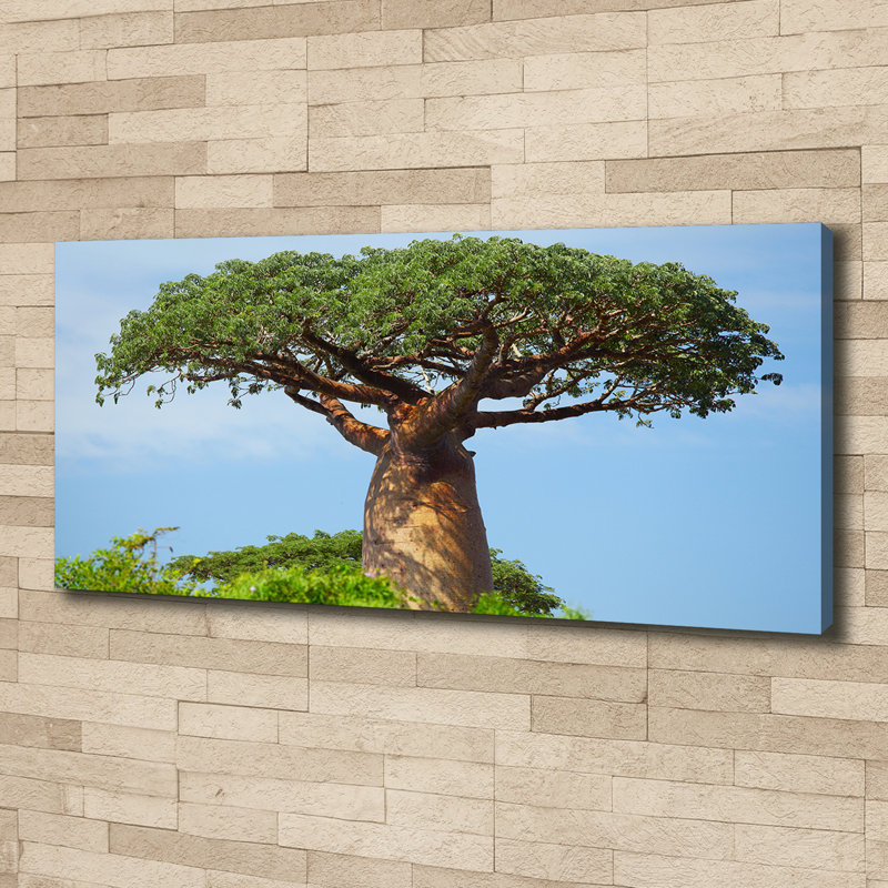 Baobab - No Frame Print on Glass, Canvas, 50cm H x 125cm W x 2cm D