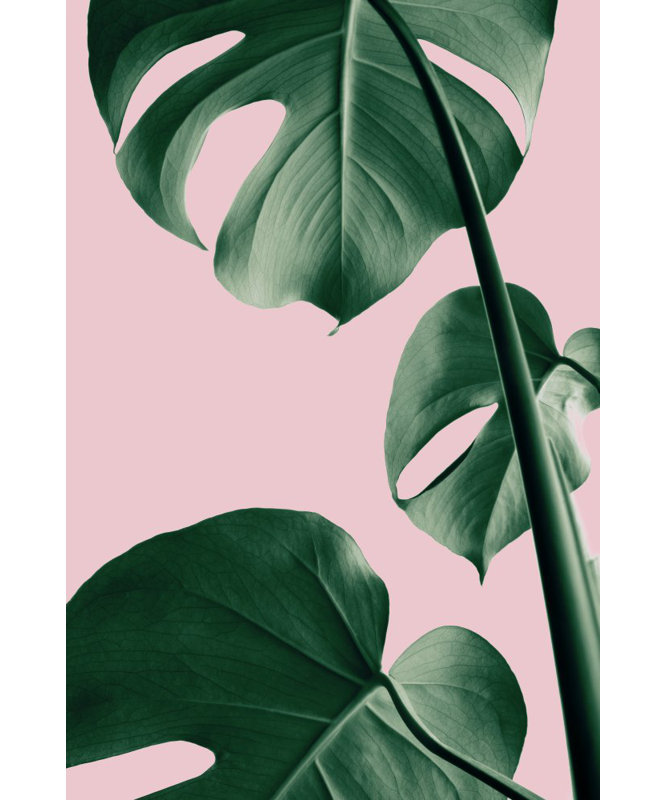 Wrapped Canvas Print, 91.44 cm H x 60.96 cm W