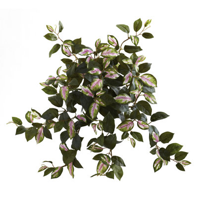21'' Foliage Plant