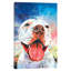 « pitbull », reproduction d’art sur toile-73439104-73439105-73439106