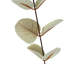 Pack of 6 Artificial Eucalyptus Foliage-127420403-127420404