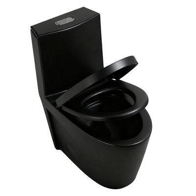 Dual-Flush Water-Saving Elongated Toilet, Comfort Height, Soft Close Seat, Matte Black, 1.1/1.60 GPF