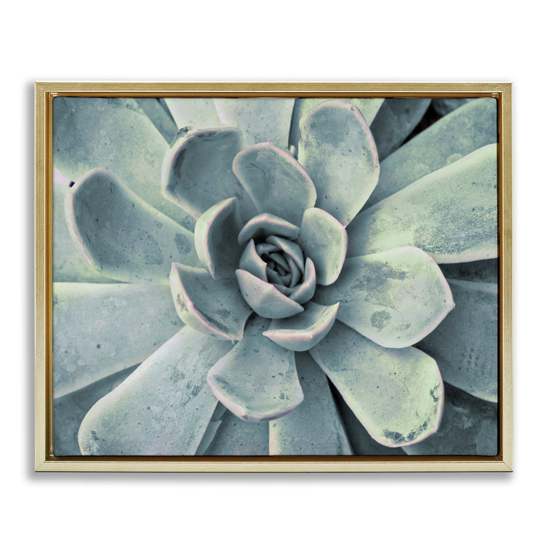 "Green Cactus Succulent", art mural sur toile flottante noire par Susan Bryant, Cadre flottant métallique doré