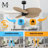 Alessandra - Five Blade Ceiling Fan-880970921-880970964