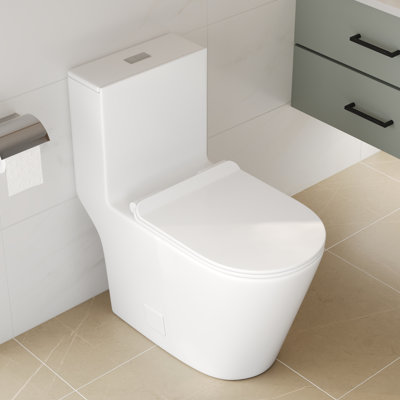DeerValley One Piece Modern Toilet, Elongated Dual Flush Standard White Toilet with Comfort ADA Seat Height(Seat Included)