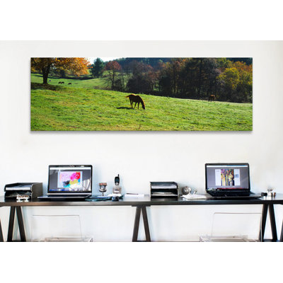 «Horses Grazing in a Field, Kent County, Michigan», reproduction de photo sur toile