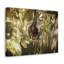 No Frame Print on Canvas-542425122