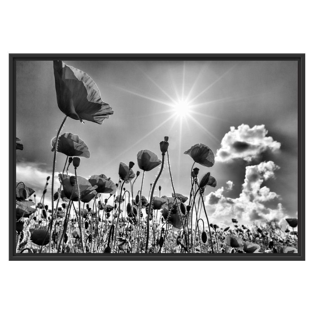 Gerahmter Fotodruck Poppies