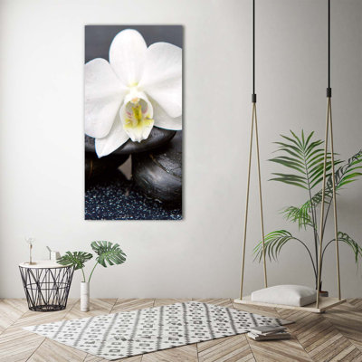 Orchid And Stones - Wrapped Canvas Print