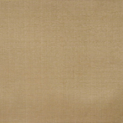 Allure Fabric