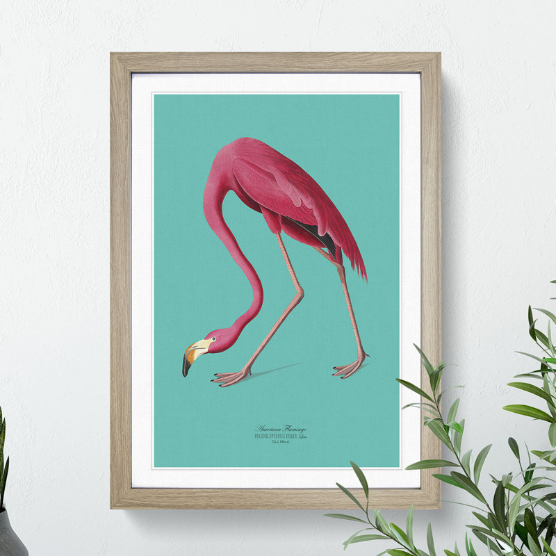 Flamingo in Teal by John Audubon - Picture Frame Graphic Art Print on MDF, 36cm H x 27cm W x 2cm D, Oak Framed