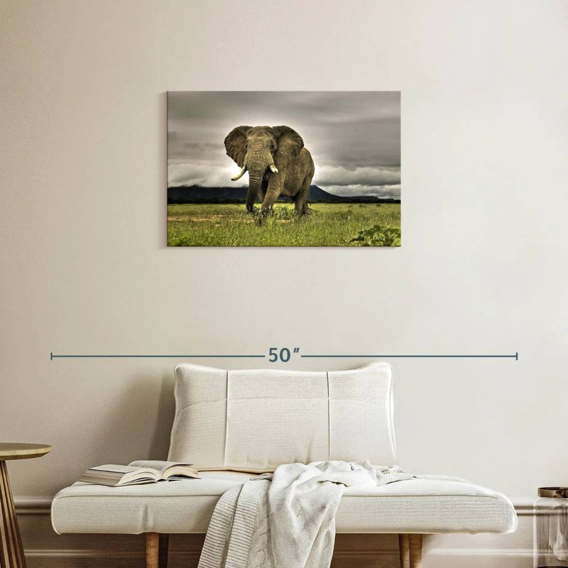 Brampt Elephant Landscape, 20" H x 30" W