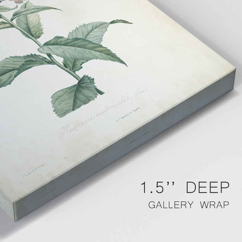 «Traditional Botanical II», impression sur toile tendue, H 36 po x l 24 po x P 1 po