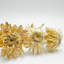 Bundle of 4 - Dried Preserved Ruby Daisy Flower in 21" in Natural-111318237