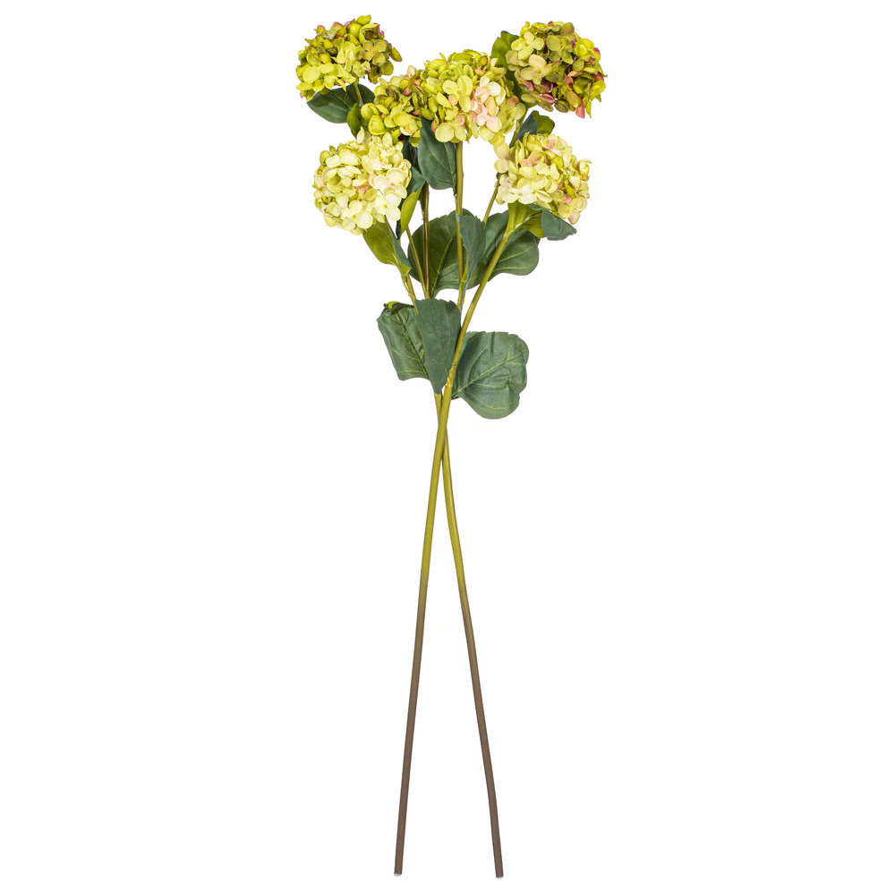 Ranbir Hydrangea Stems, Green