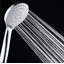 Esterbrooke Handheld Shower Head