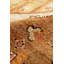 Oushak Hand Knotted Wool Oriental Area Rug