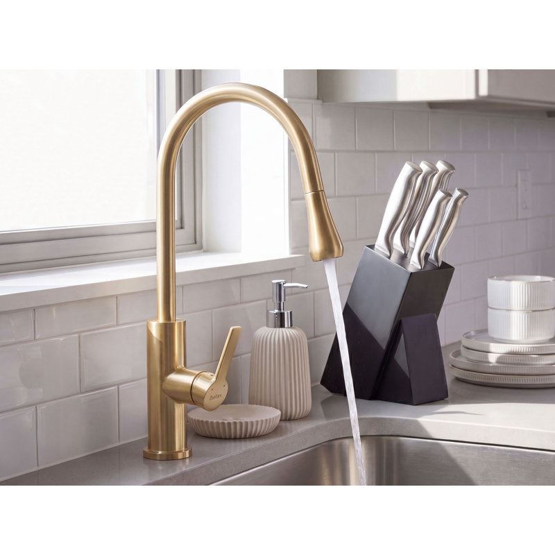 Kitchen Pull Out Tap Delanei Gold