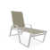Holna Outdoor Rust-Resistant Metal Chaise Lounge