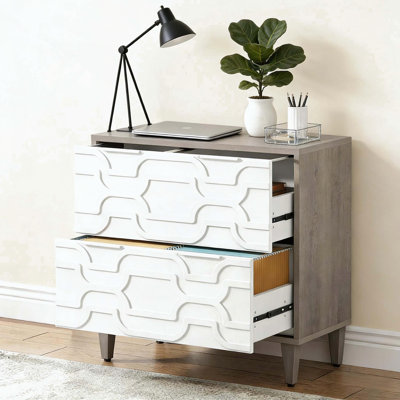 2-Drawer File Cabinet with Adjustable Storage and Elegant Finish