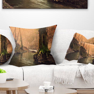 Coussin de parc national forest creek