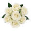 Velours rosier-363887440