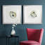 «Old Salt Shell I», ensemble de 2 reproductions d'art encadrées-2048829127-2126001040-2118285762