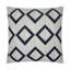 Dublin Pillow Cover & Insert-73411569-114601284